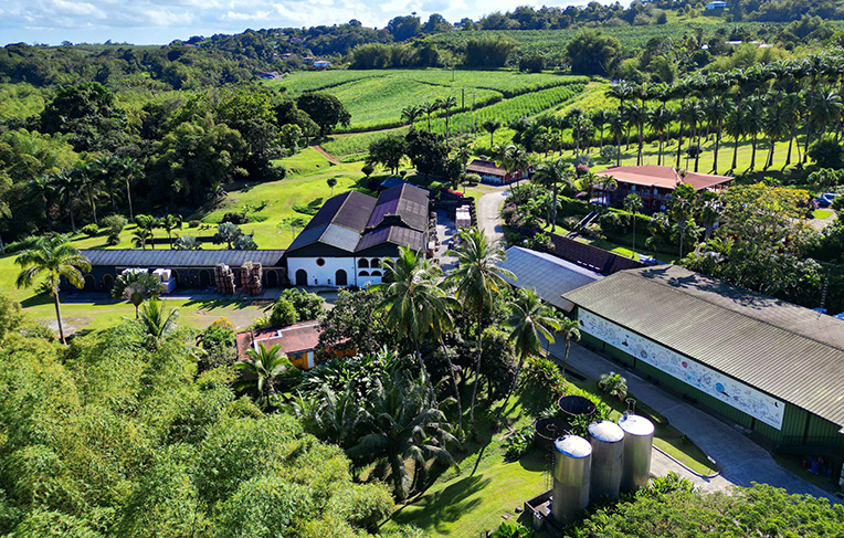 Habitation Saint-Étienne (HSE)